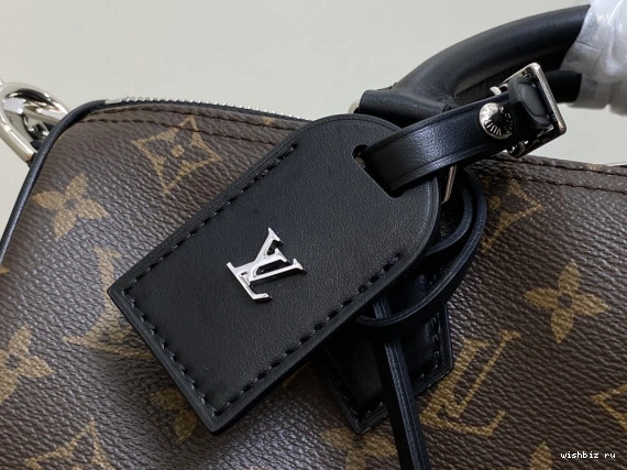 WIS Soft Speedy Vuitton Dark Louis 30 0308